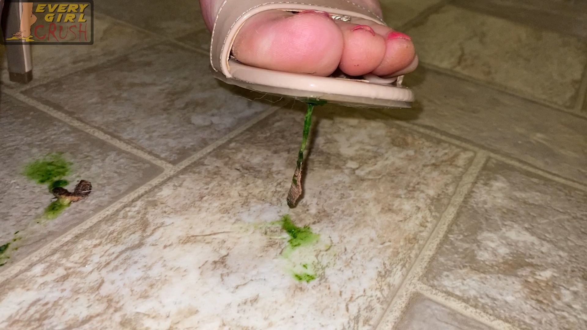 Snail crushing fetish